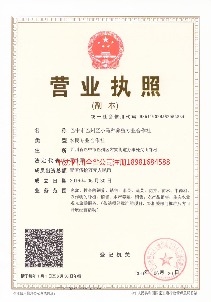 林芝林芝小马种养殖专业合作社